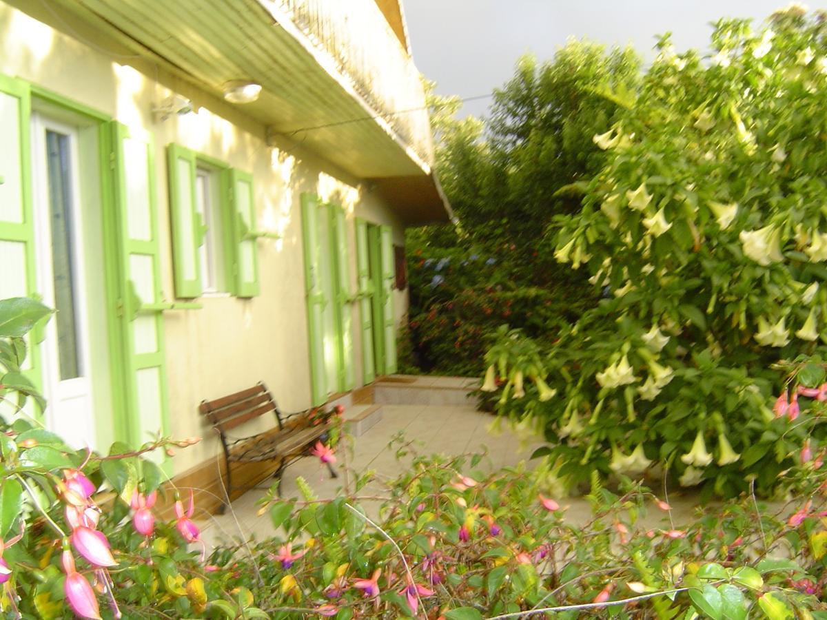 Relais Du Volcan La Plaine des Cafres ภายนอก รูปภาพ