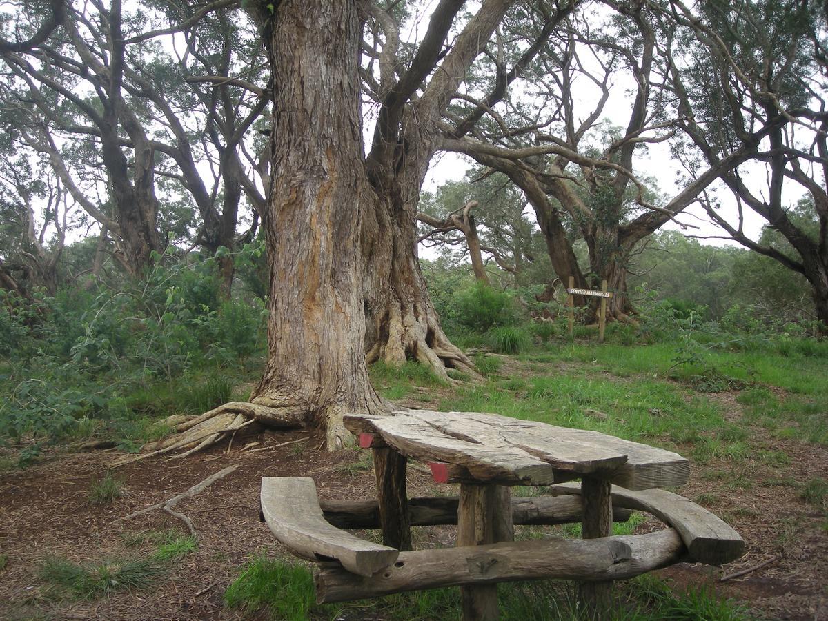 Relais Du Volcan La Plaine des Cafres ภายนอก รูปภาพ