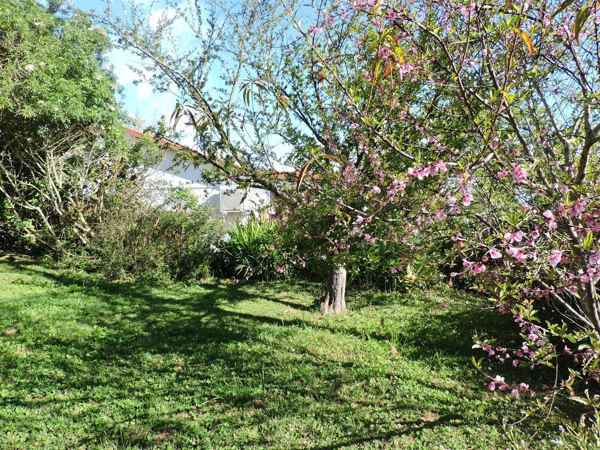 Relais Du Volcan La Plaine des Cafres ภายนอก รูปภาพ