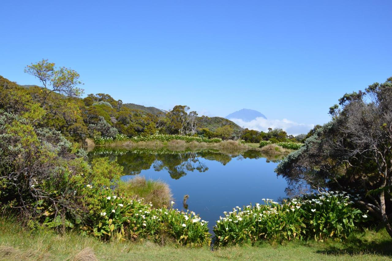 Relais Du Volcan La Plaine des Cafres ภายนอก รูปภาพ