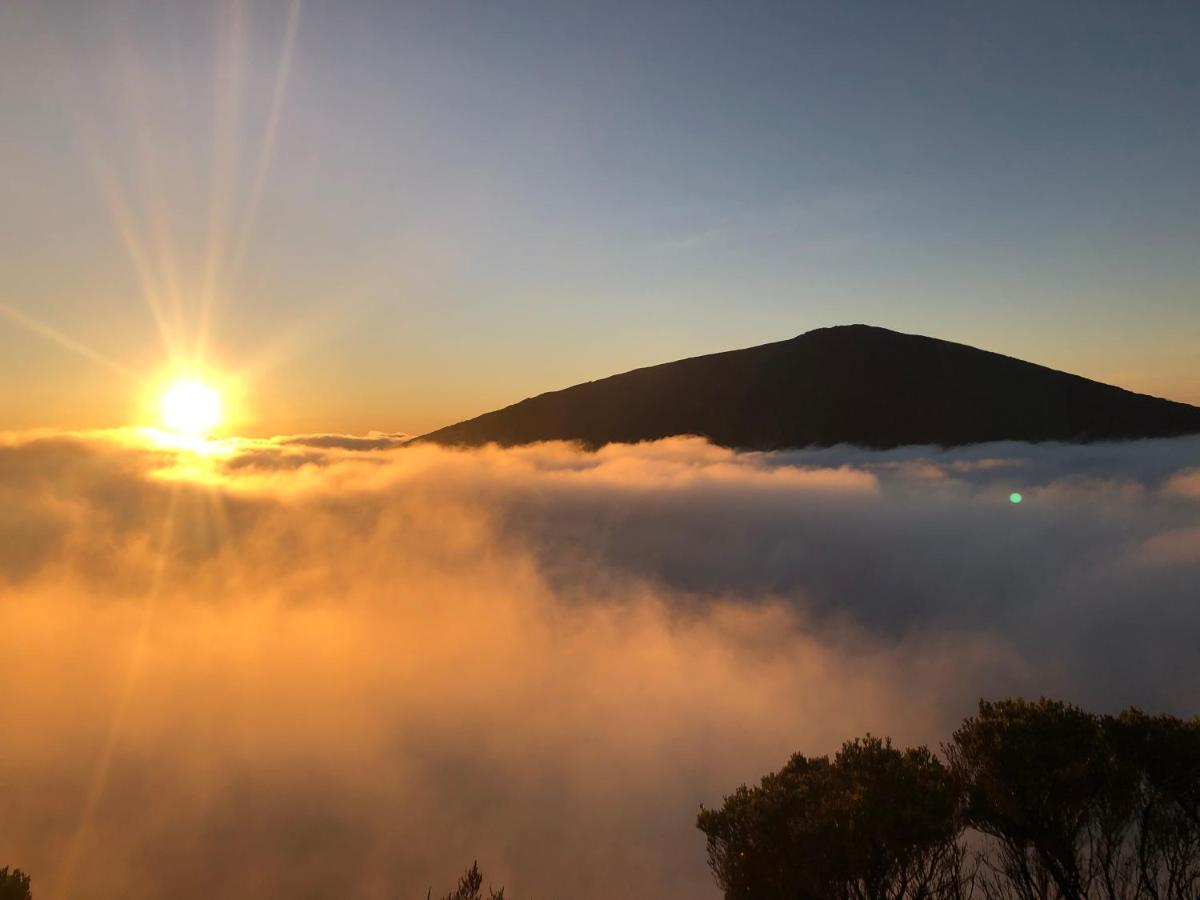 Relais Du Volcan La Plaine des Cafres ภายนอก รูปภาพ